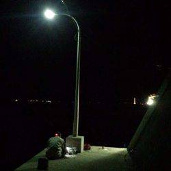 田ノ浦漁港常夜灯下でのアジングゲーム　アジ&カマス