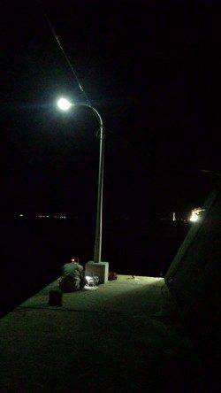 田ノ浦漁港常夜灯下でのアジングゲーム　アジ&カマス