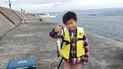 【休日の武庫一釣行】青物は不発、サビキは入…