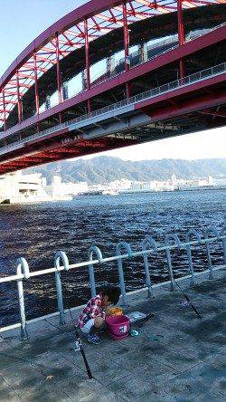 いいサイズのイワシと小さめのアジ♪　北公園