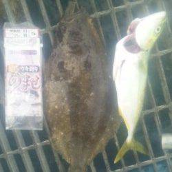 つり公園シモツピアーランド、五目釣り以上達成！