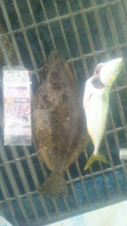 つり公園シモツピアーランド、五目釣り以上達成！