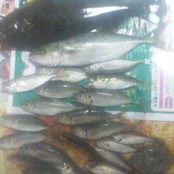 つり公園シモツピアーランド、五目釣り以上達成！