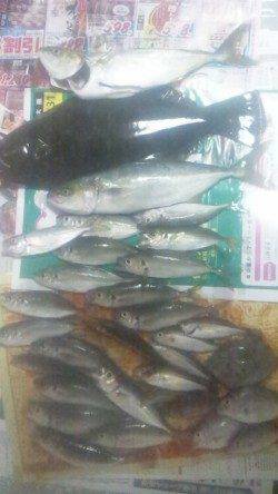 つり公園シモツピアーランド、五目釣り以上達成！