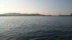 南塩谷でルアー釣り、コチの他にダツのアタリあり