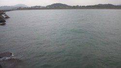 南塩谷でのショアジギング釣果