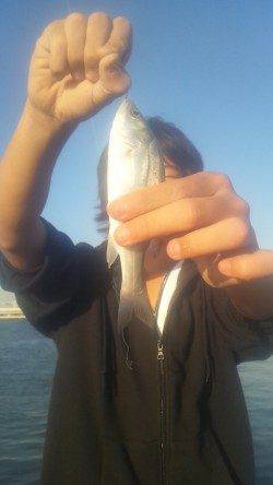 入れるたびに浮きが入る♪　淀川河口で流し釣り　