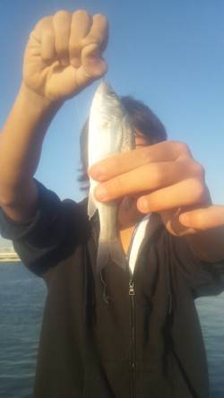 入れるたびに浮きが入る♪　淀川河口で流し釣…