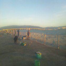 貝塚人工島で釣った生きアジで太刀魚の釣果