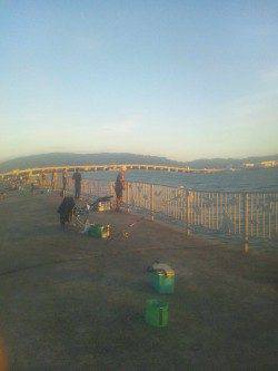 貝塚人工島で釣った生きアジで太刀魚の釣果