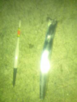 貝塚人工島で釣った生きアジで太刀魚の釣果