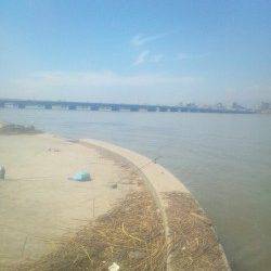 淀川河口 ちょい投げでキビレ&セイゴ 仕掛けも簡単で楽しめます☆