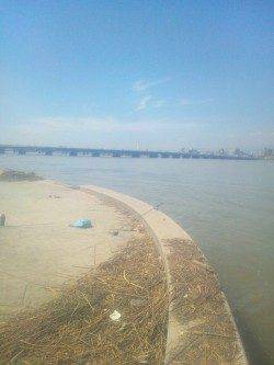 淀川河口 ちょい投げでキビレ&セイゴ 仕掛けも簡単で楽しめます☆