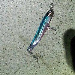 貝塚　満潮からの下げ潮狙いで久々のシーバス☆