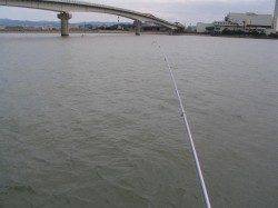 ハゼを餌にノマセでマゴチ☆紀ノ川河口