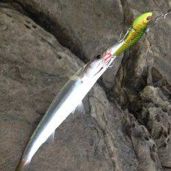 日高の地磯でライトショアジギング★カマスにガシラ★