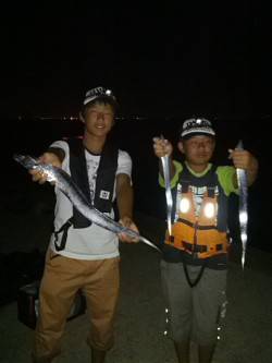 南芦屋浜、ワインドで太刀魚・ウキ釣りでサヨ…