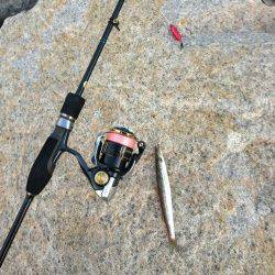 小島　強風の中のアジング釣行　良型狙いも豆アジ・カマス