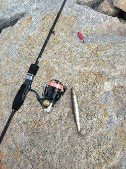 小島　強風の中のアジング釣行　良型狙いも豆アジ・カマス