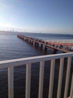 尼崎魚釣り公園での朝からのサビキ釣果