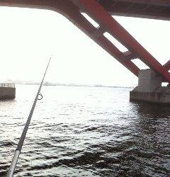 神戸港で投げ釣り、キス20匹オーバーの釣果