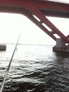 神戸港で投げ釣り、キス20匹オーバーの釣果