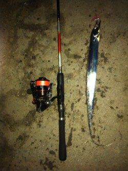 舞洲に戻りアジングするとタチウオが♪