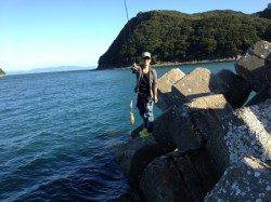 加太漁港ルアーでツバス、エギングは好調！！