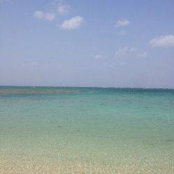 松ノ鼻　投げ釣りでキスの釣果　サイズも〜25cmで引き楽しめる