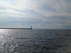 岸和田　バイブレーションの中層早巻きでサバがヒット