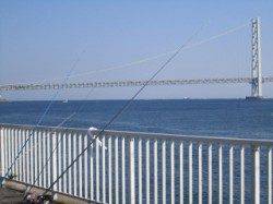 大蔵海岸でサビキアジ&胴突きカワハギ