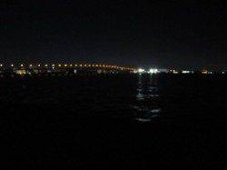 ウキ釣りでは乗らずワインドでタチウオゲット！