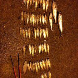 垂水漁港、サビキでアジ・サバ、エギングの釣果もあり！