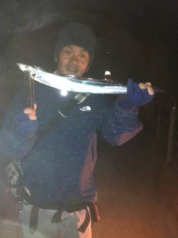 四時間で7匹！ 南港もタチウオシーズン到来…