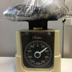 和田でエギング　ビフテキより少し大きめサイズ^o^