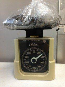 和田でエギング　ビフテキより少し大きめサイズ^o^