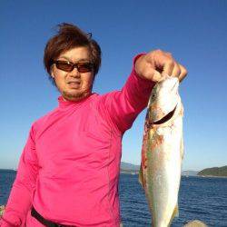 加太漁港ルアーでツバス、エギングは好調！！