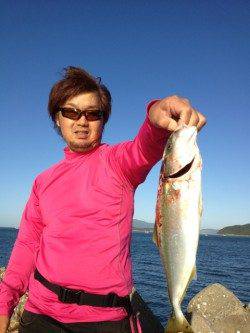 加太漁港ルアーでツバス、エギングは好調！！