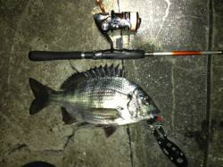 舞洲　ゴミの多い状況でのチニングでチヌ・ガ…