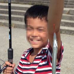 南芦屋浜でサヨリ釣り、殆ど１投１匹のペース…