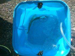 南芦屋浜　ウキ釣りでタチウオ狙い　ノマセで青物狙い釣行