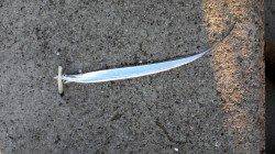 南芦屋浜でタチウオワインド