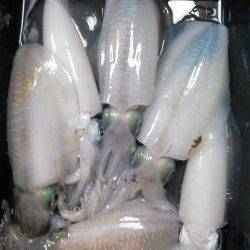 柴山港　墨族パープル/パープルでアオリ連発！