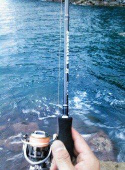 中層でガツンと！ 柴山港でアオリイカ胴長22cm750g♪