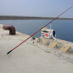 淡路の落ちギスのシーズンまでは、もう暫らくの辛抱