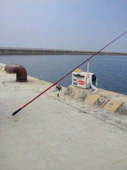 淡路の落ちギスのシーズンまでは、もう暫らくの辛抱