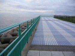 【りんくう】アジ入れ食い状態　カマスは渋めのようです