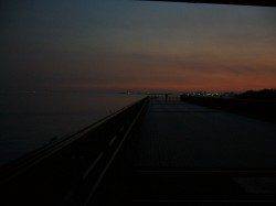 りんくうでエギング&アジング　アジは好調！