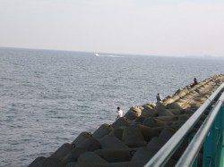 りんくう　ジグサビキ＆メタルジグでのアジング好調です☆