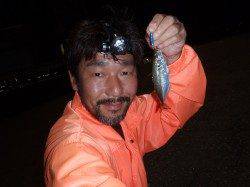 大阪南港でのメタルアジング釣果